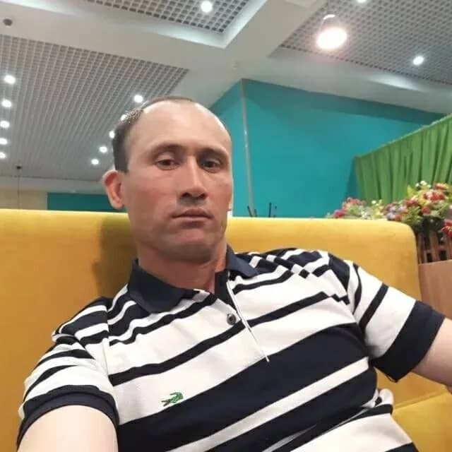  33242198  , 46 ,    