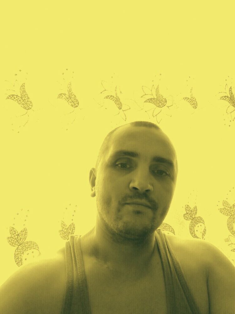  36519658  , 48 ,    -
