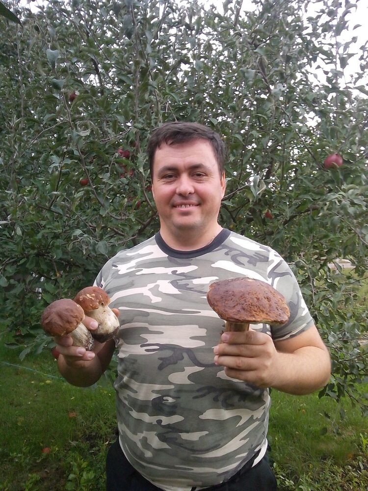 ���� 5280578 ������� �����, 51 ���, ���� ���������� � �����