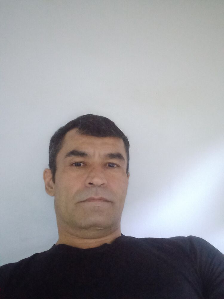  23686078  , 48 ,    