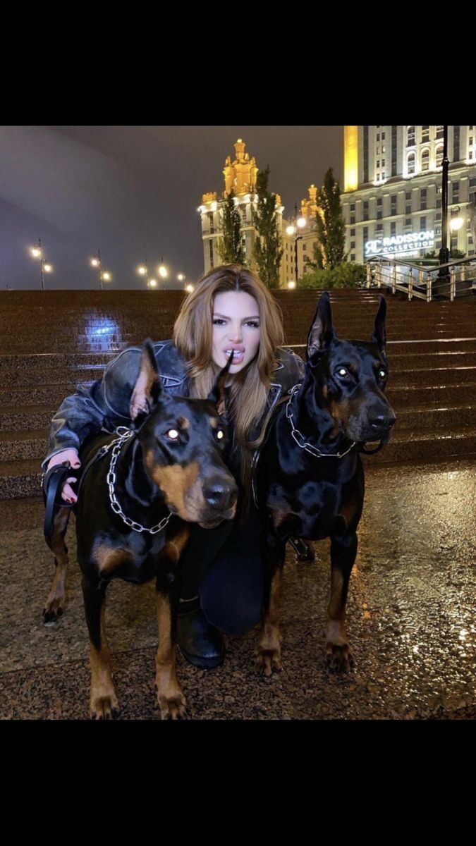 ���� 55698698 ������� Ferrari, 70 ���, ���� ���������� � �����������