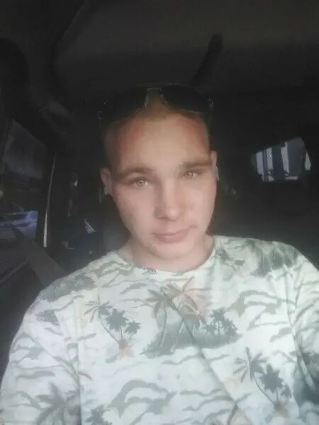  43316668  , 26 ,    