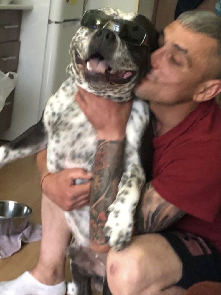  28473108  , 42 ,    -