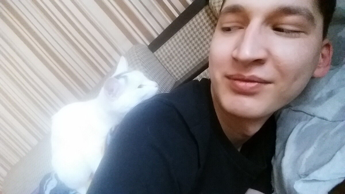 ���������� ��������, ���� ������� ������, 31 ���, ������������ ��� ������, ����� � ���������, c�������� ���������