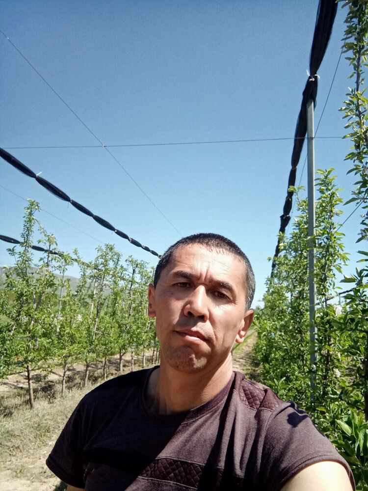  20789688  , 49 ,    