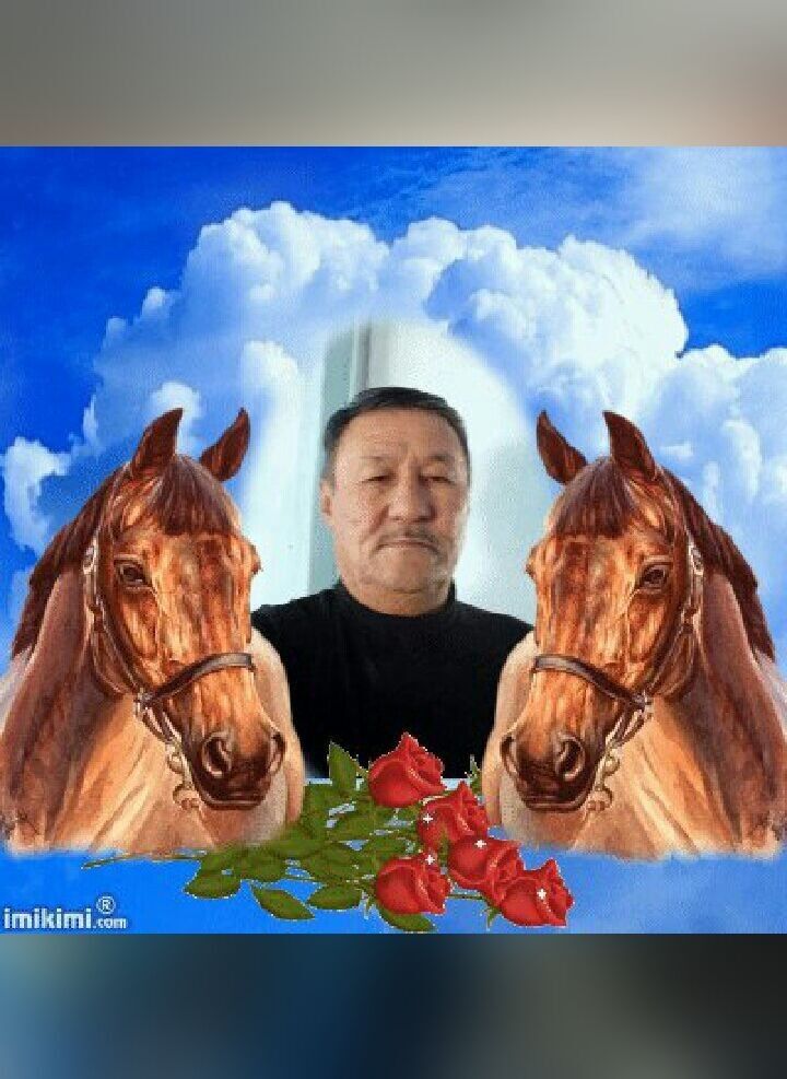  11360718  , 71 ,    