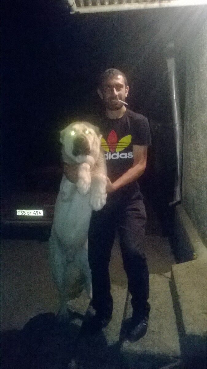 ���������� �����-���������, ���� ������� �����, 32 ����, ������������ ��� ������, ����� � ���������, c�������� ���������