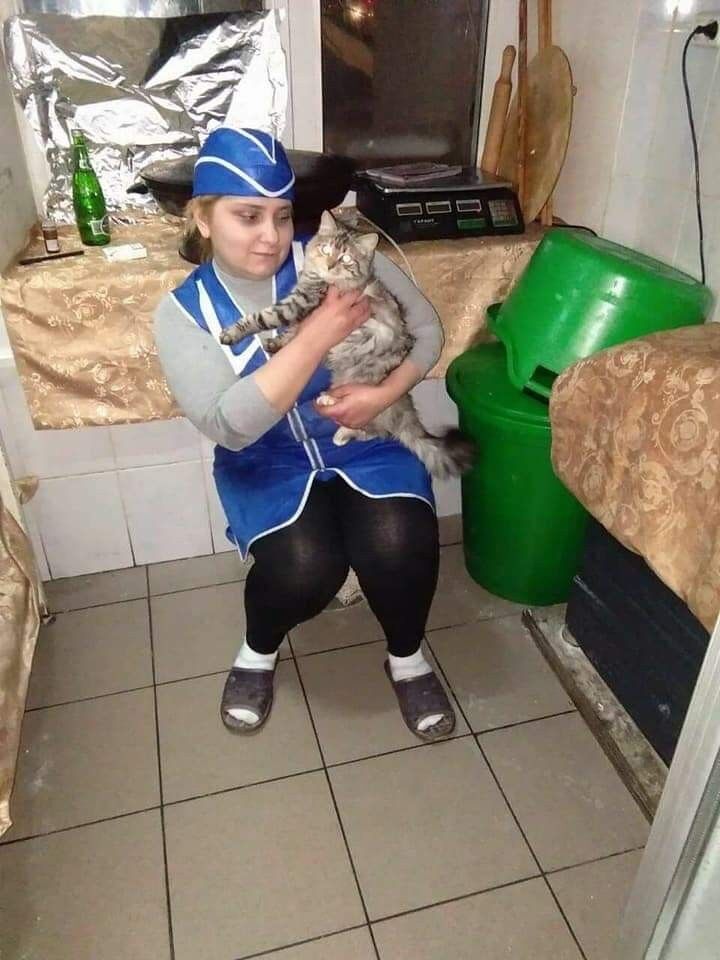  15069698  , 42 ,    