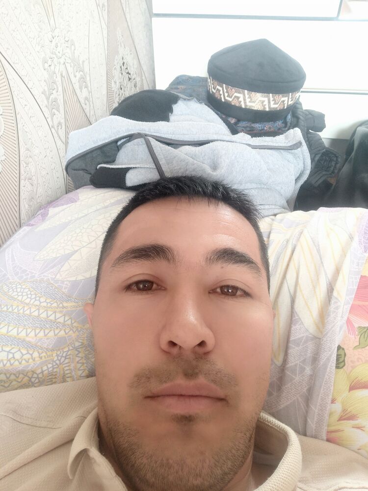  45082678  , 33 ,    