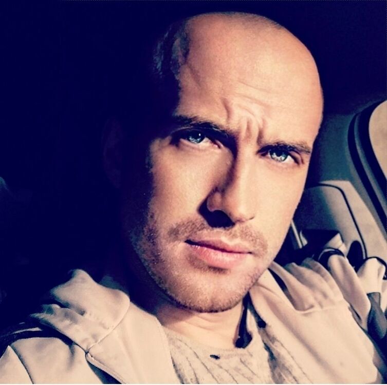 ���� 54623988 ������� Alexander, 36 ���, ���� ���������� � ������