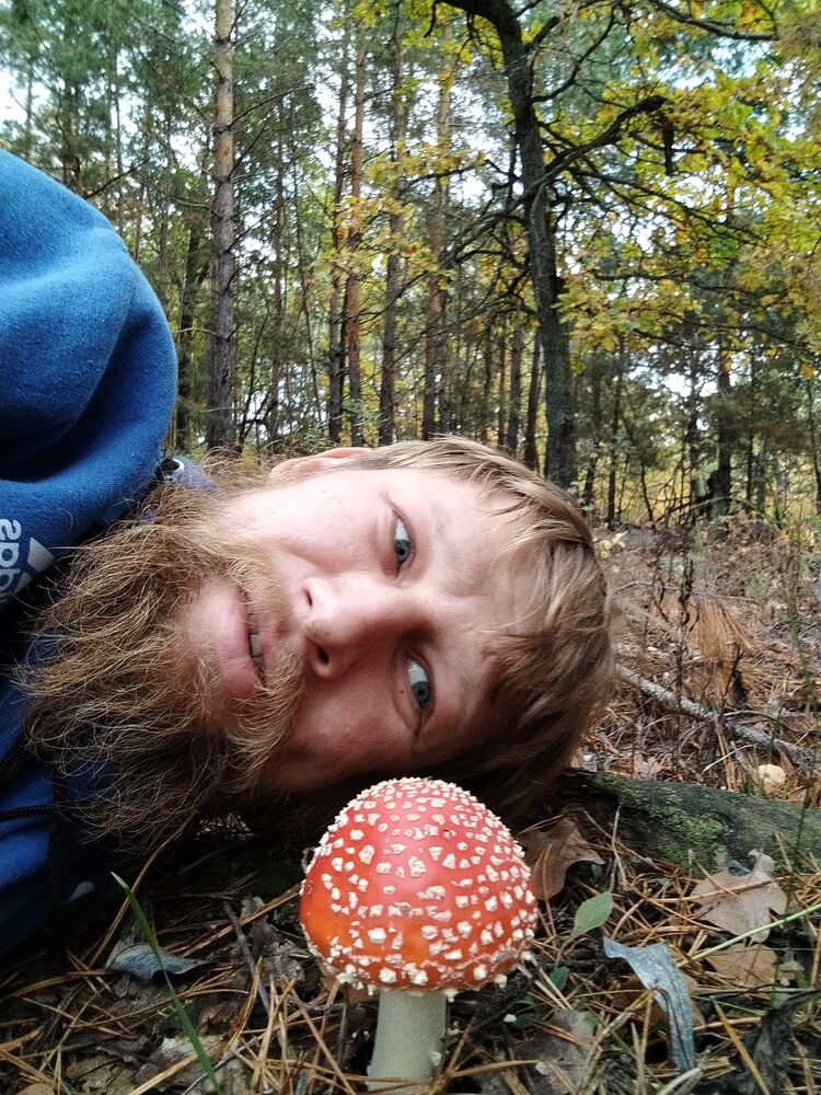 ���������� �������, ���� ������� ����, 39 ���, ������������ ��� ������, ����� � ���������