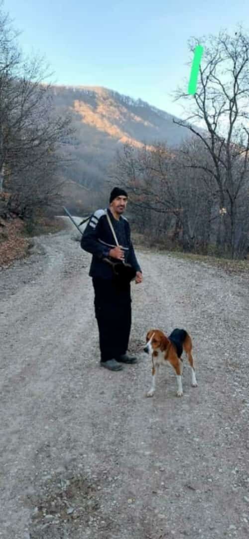 ,   , 43 ,   ,   