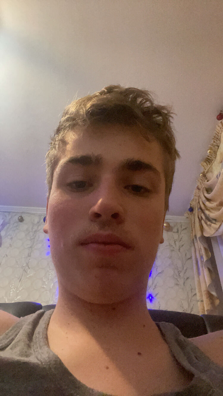 ���� 24710848 ����� Cerempei, 22 ����, ���� ���������� � ��������