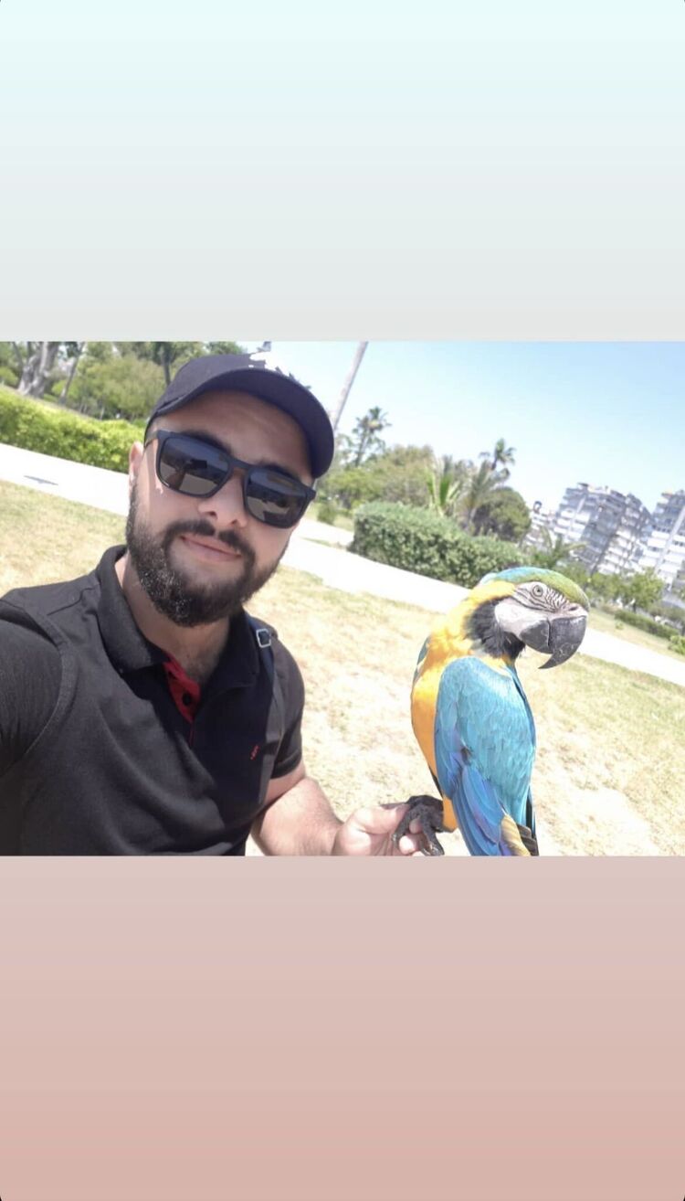 ���������� ������, ���� ����� �����, 22 ����, ������������ ��� ������, ����� � ���������