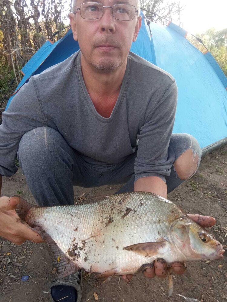  ,   , 54 ,     , c 