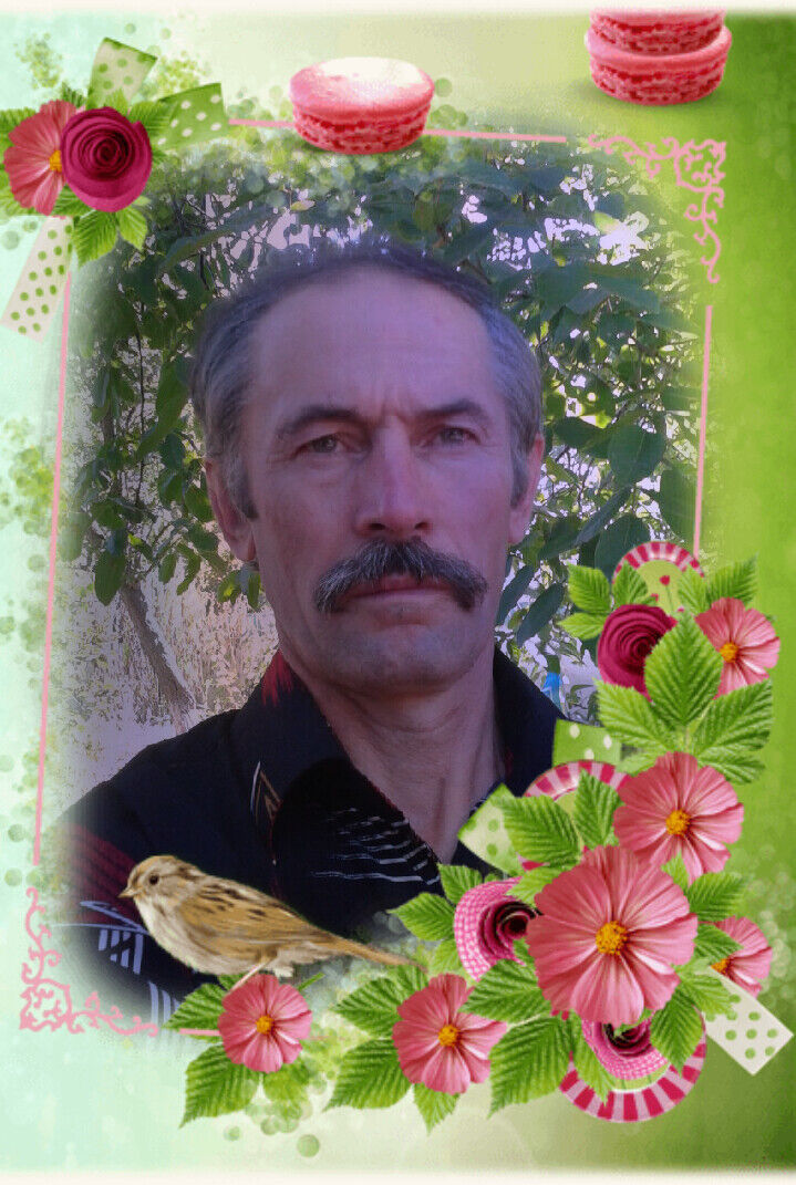 ���� 22571178 ������� ���������, 66 ���, ���� ���������� � ��������