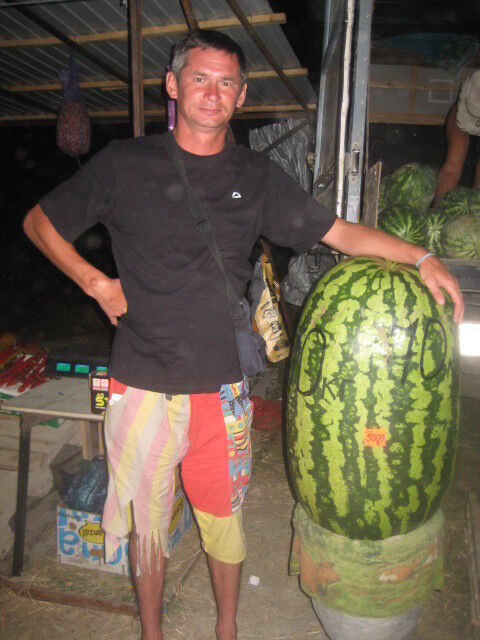 ���������� �����, ���� ������� ���������, 54 ����, ������������ ��� ������