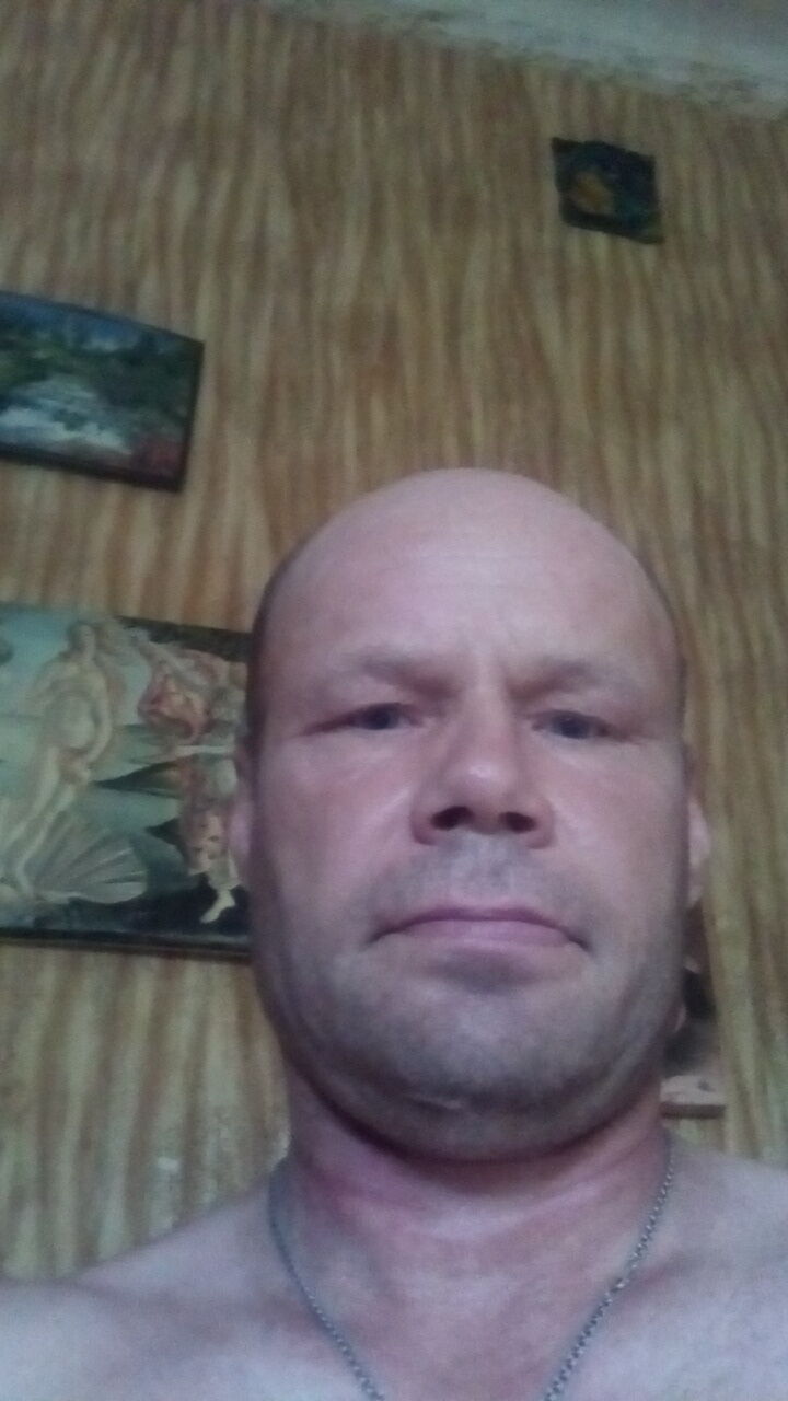  29448078  , 51 ,    
