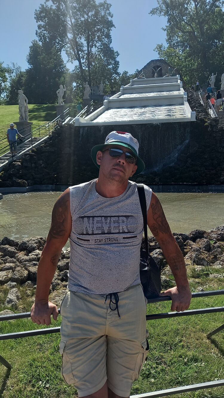  31289638  , 47 ,     