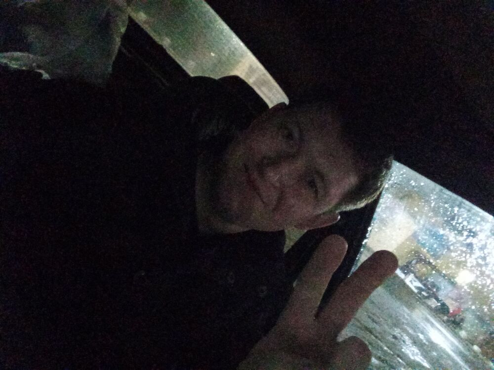 ���������� �������, ���� ������� ������, 39 ���, ������������ ��� ������, ����� � ���������