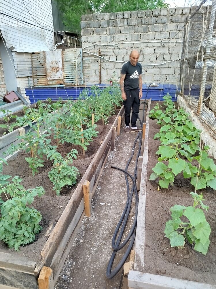 ���� 55172378 ������� Husik, 52 ����, ���� ���������� � ����