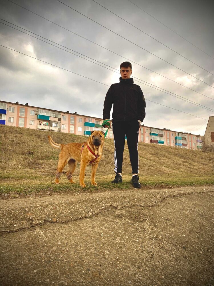 ���� 23835798 ������� �������, 26 ���, ���� ���������� � �����