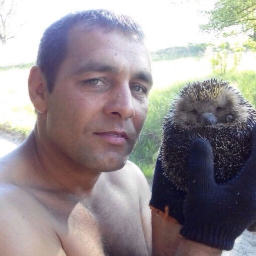  54446808  , 48 ,    -