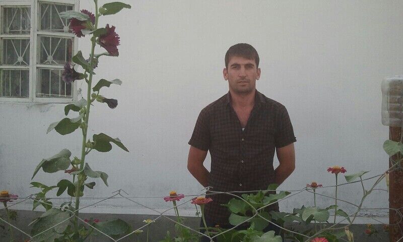  27539758  , 42 ,    