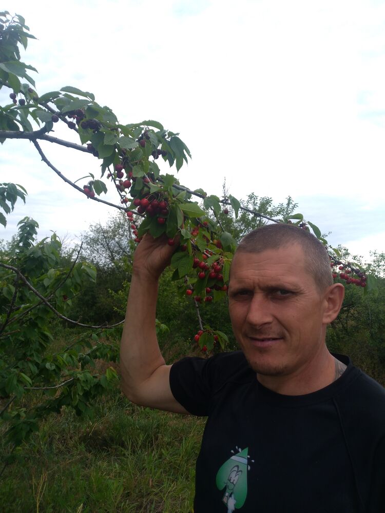 ���� 23374818 ������� �������, 40 ���, ���� ���������� � ����������