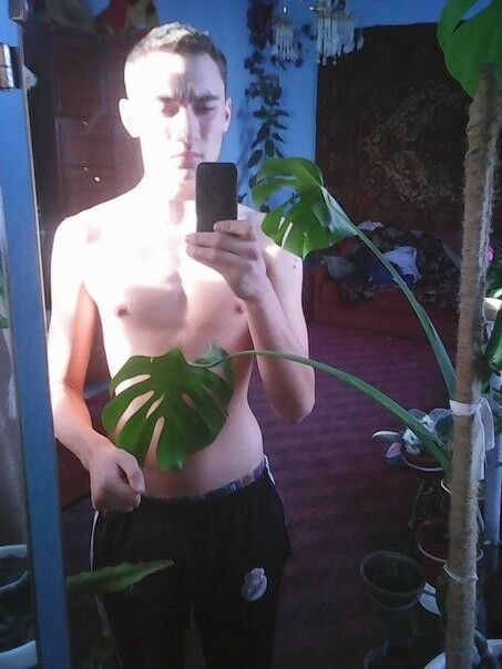   ,   , 29 ,   
