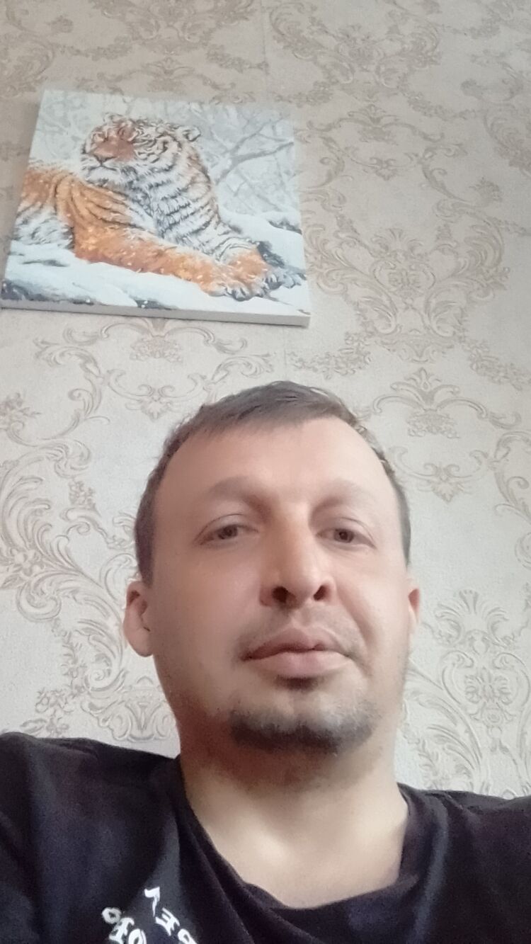  34784408  , 38 ,    