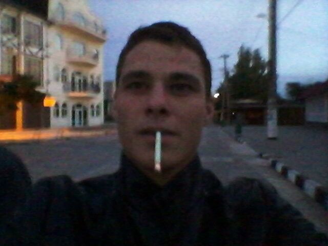  7455878  , 31 ,    