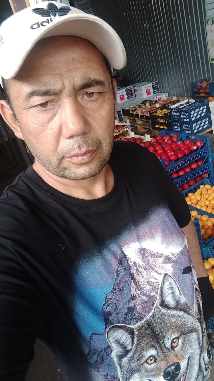  44131658  , 46 ,    
