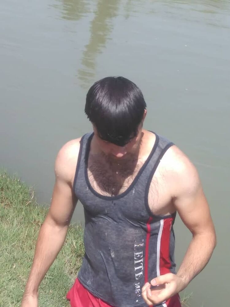  43828458  , 33 ,    