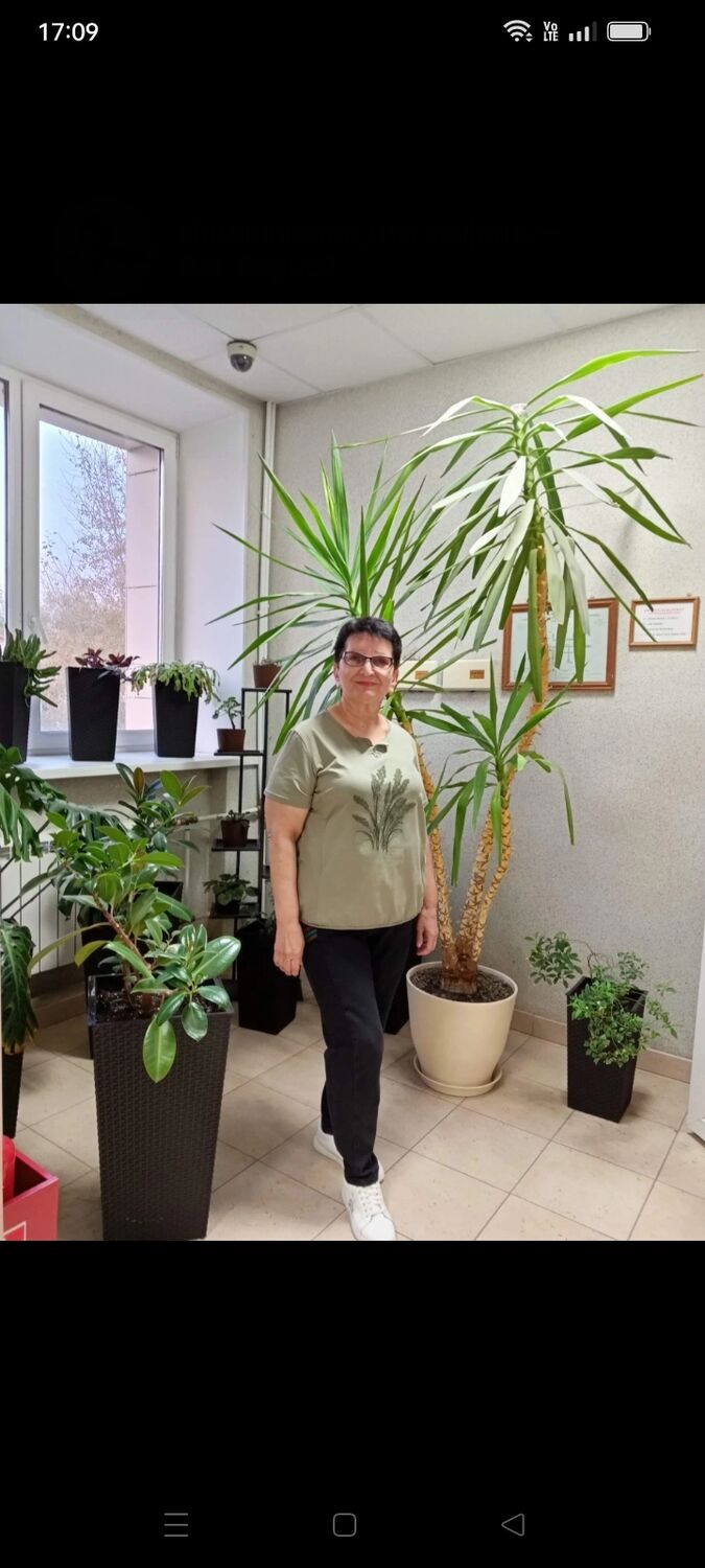 ���������� �����������, ���� ������� ����, 61 ���, ������������ ��� ������, ����� � ���������