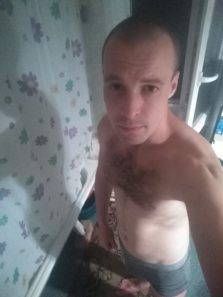  17206348  , 31 ,    