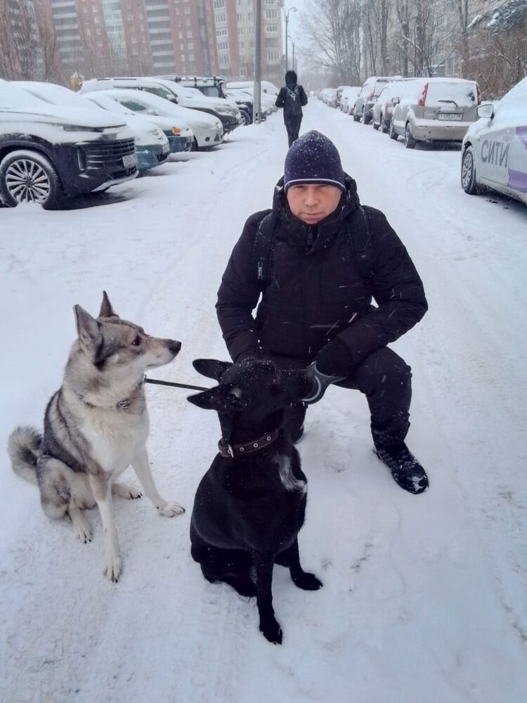 ���������� �����-���������, ���� ������� ������, 39 ���, ������������ 