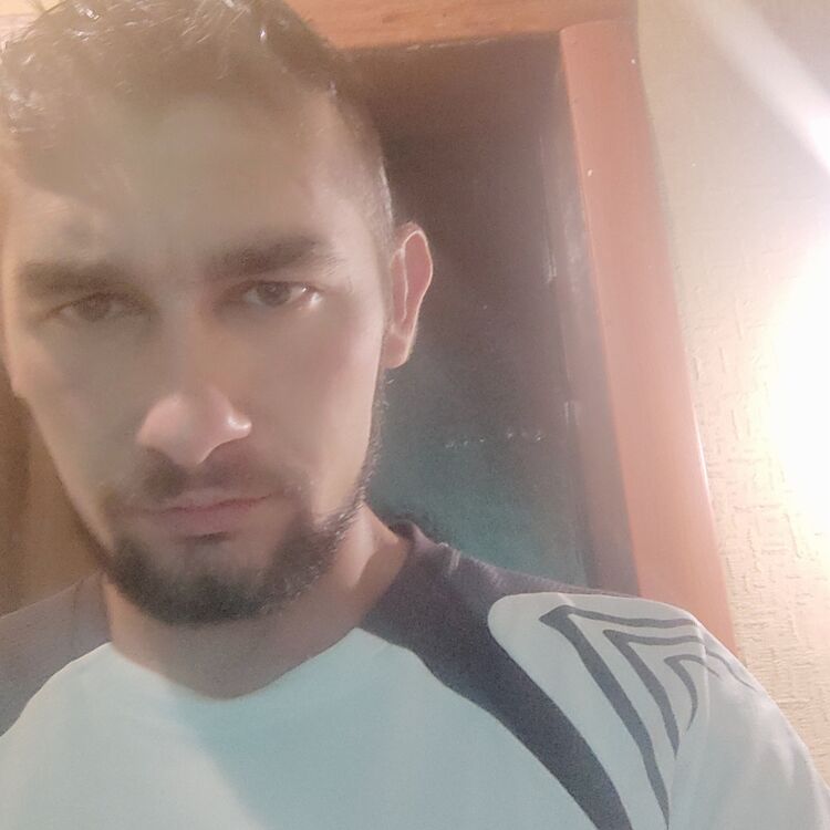  37502678  , 29 ,    