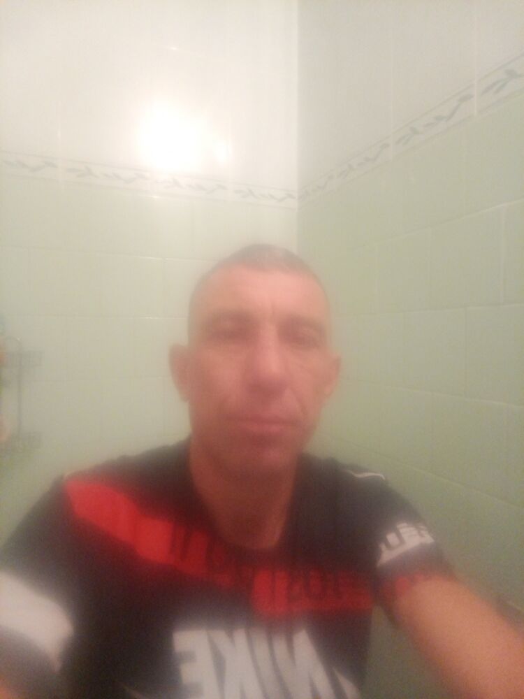  45509368  , 43 ,    