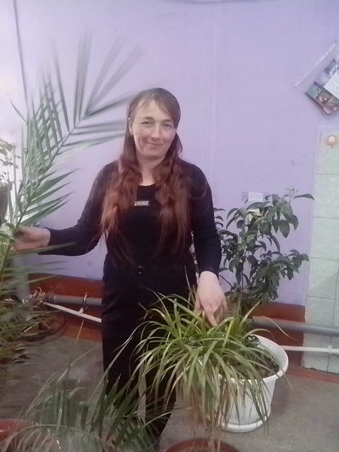  ,   , 51 ,     , c 