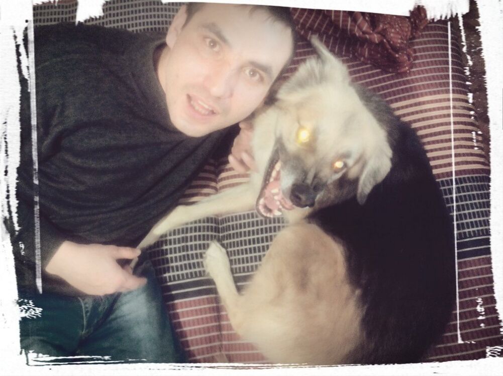 ���� 56054518 ������� �����, 40 ���, ���� ���������� � ����������