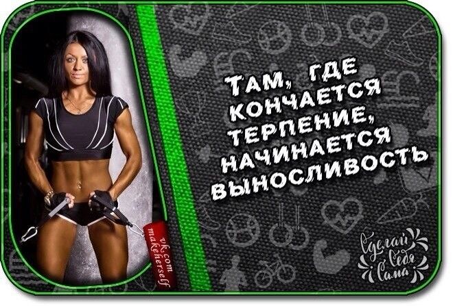 ���������� ���������, ���� ������� Maks, 40 ���, ������������ ��� ������, ����� � ���������, c�������� ���������