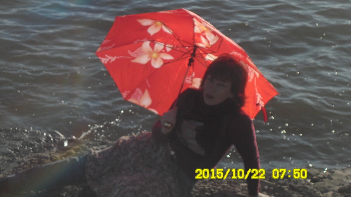  6008168  , 45 ,    