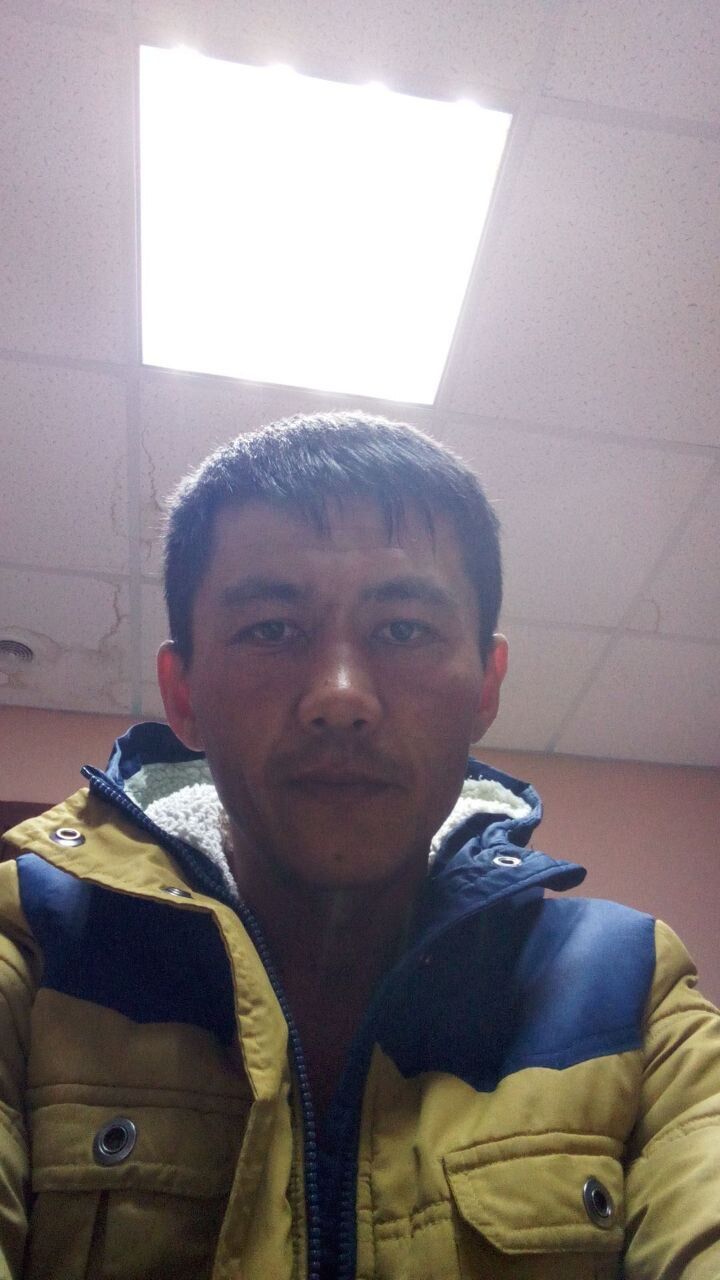  45985288  , 31 ,    