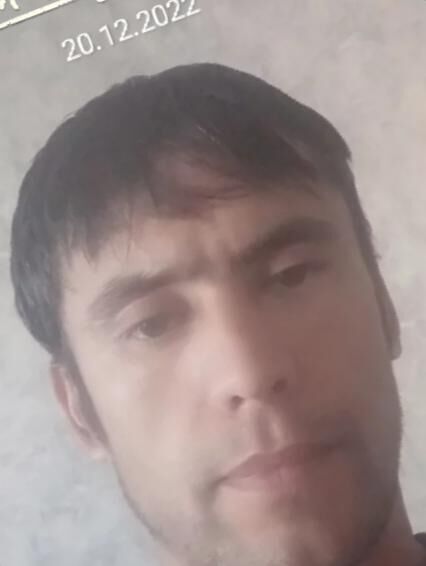  31512578  , 41 ,    -