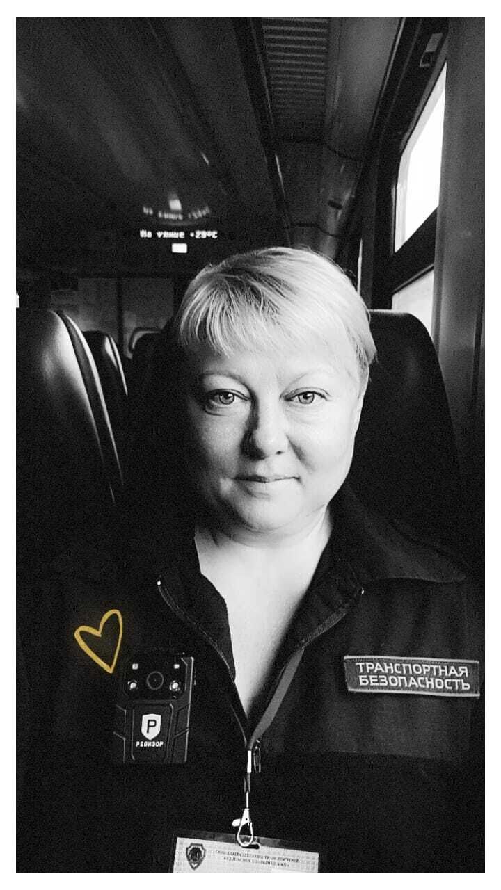  53389248  , 50 ,    --