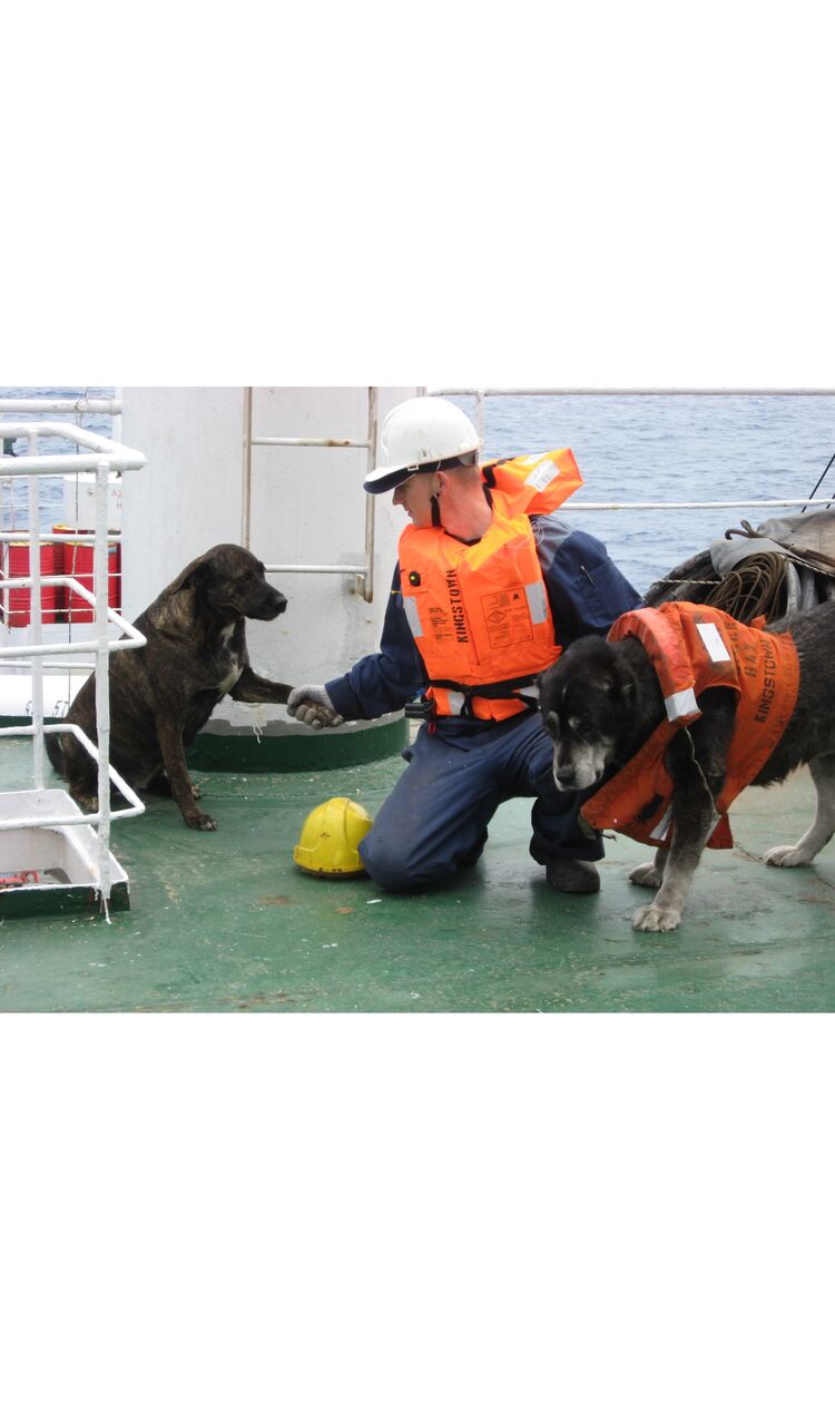 ���������� ��������, ���� ������� ������ �����, 44 ����, ������������ ��� ���������