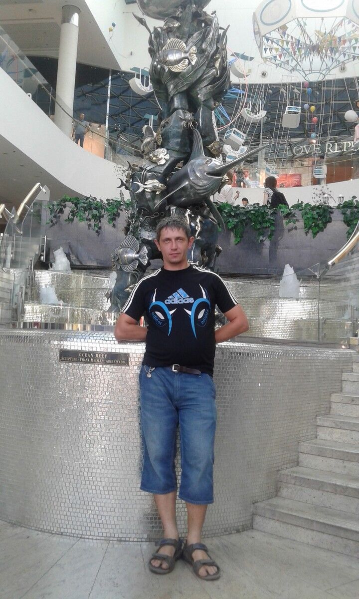   ,   , 41 ,  
