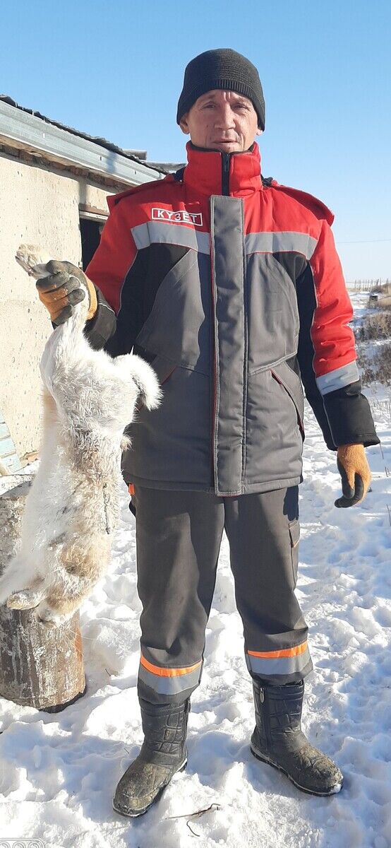 ���� 22246648 ������� ��������, 41 ���, ���� ���������� � ��������