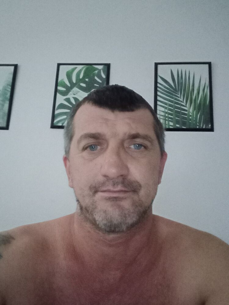  48399978  , 44 ,    